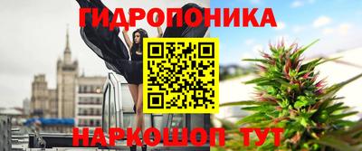 прущие грибы Пыть-Ях
